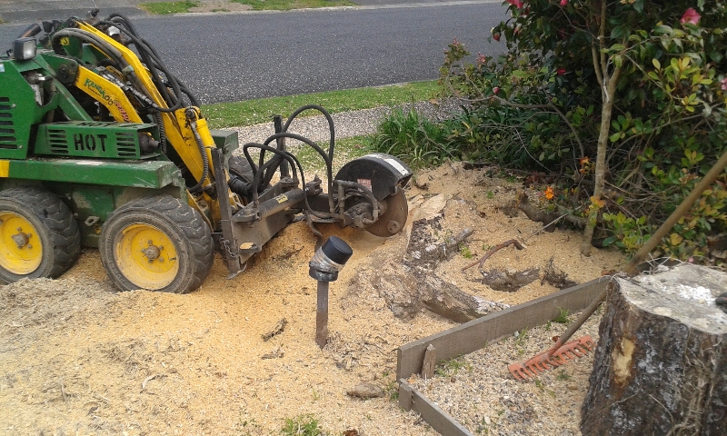 Stump Grinding During